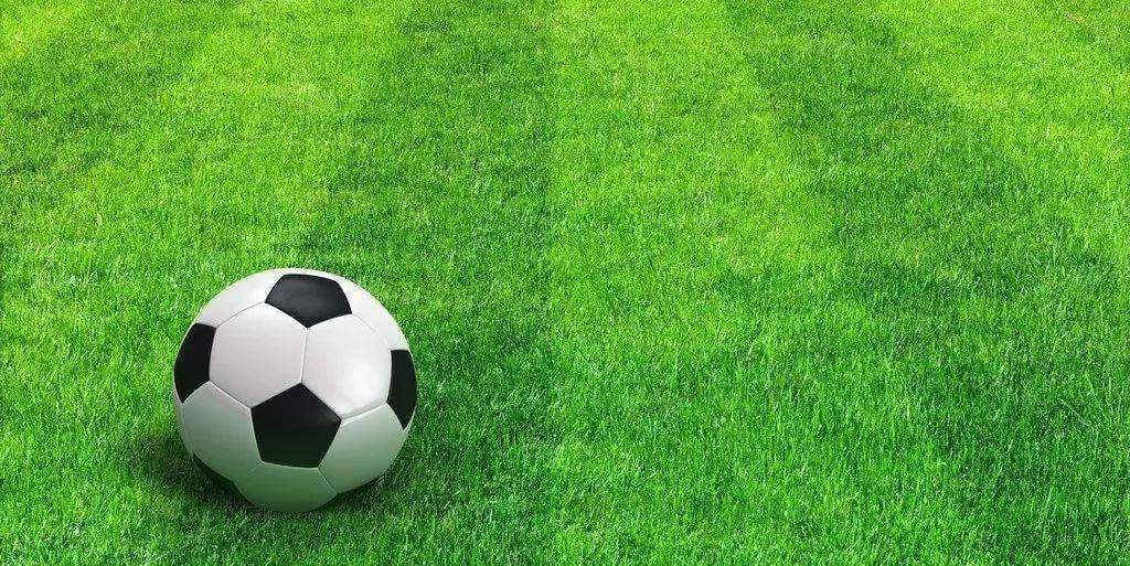 任选9场深度数据分析界面